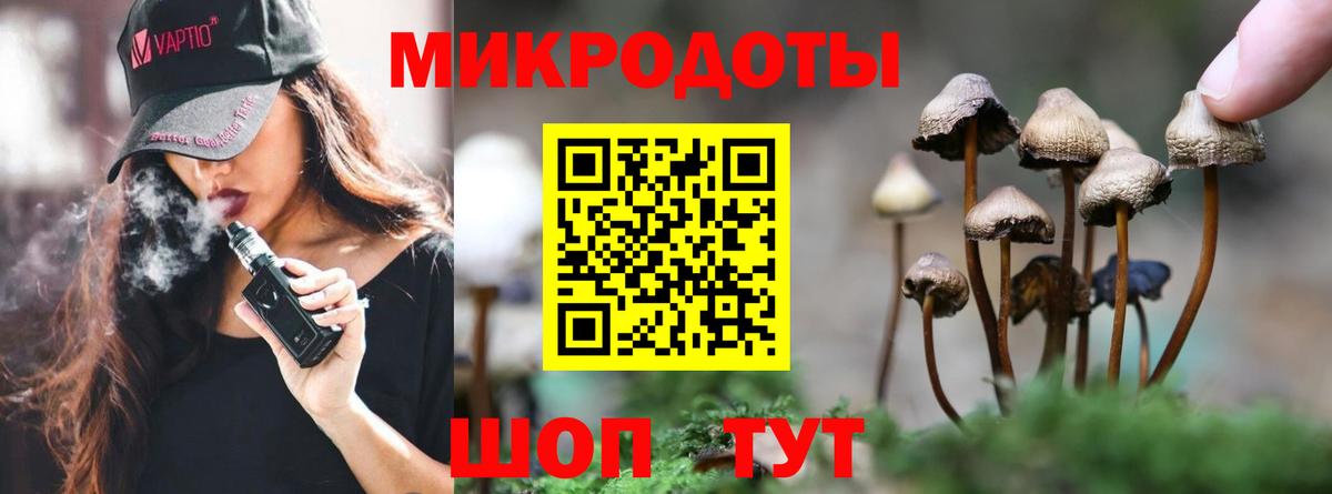 Галлюциногенные грибы прущие грибы Тайшет